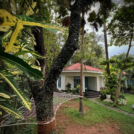 Paddle Cult Hotel Varkala Exterior photo